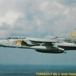TORNADO F Mk3 1998 Tiger Meet (nuevo de segunda) – HASEGAWA 1:72